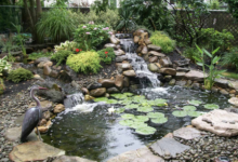 Create a Serene Garden Oasis with the Help of a Swimming Pond Hoover