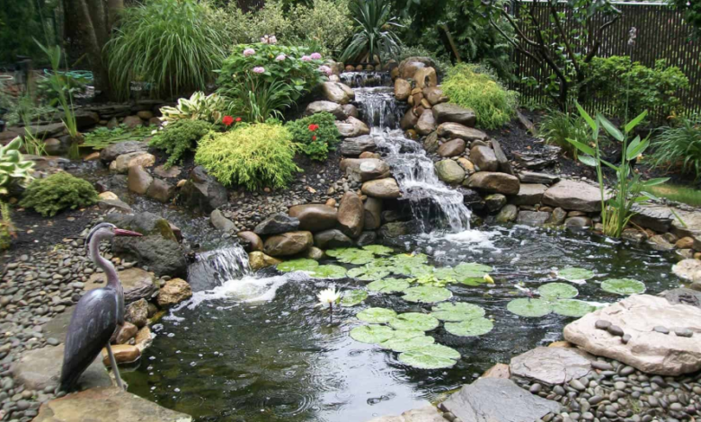Create a Serene Garden Oasis with the Help of a Swimming Pond Hoover