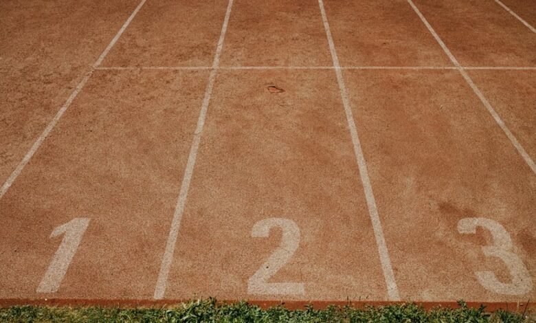 phone number analysis breakdown