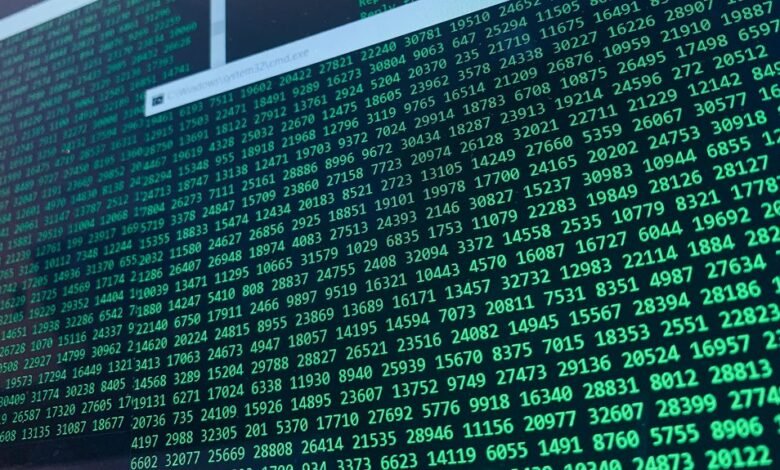 user information for number