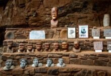 growth and authority evolution