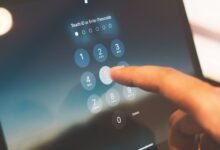 key details of 3105250619