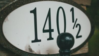 numeric identifier with unclear context