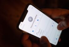 phone number focused informational update today